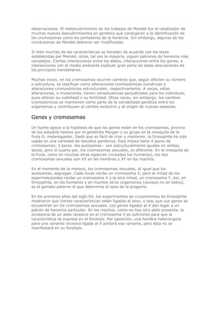 observaciones. El redescubrimiento de los trabajos de Mendel fue el catalizador de
muchos nuevos descubrimientos en genética que condujeron a la identificación de
los cromosomas como los portadores de la herencia. Sin embargo, algunas de las
conclusiones de Mendel debieron ser modificadas.
Si bien muchas de las características se heredan de acuerdo con las leyes
establecidas por Mendel, otras, tal vez la mayoría, siguen patrones de herencia más
complejos. Ciertas interacciones entre los alelos, interacciones entre los genes, e
interacciones con el medio ambiente explican gran parte de estas desviaciones de
los principios mendelianos.
Muchas veces, en los cromosomas ocurren cambios que, según afecten su número
o estructura, se clasifican como alteraciones cromosómicas numéricas o
alteraciones cromosómicas estructurales, respectivamente. A veces, estas
alteraciones, o mutaciones, tienen consecuencias perjudiciales para los individuos,
pues alteran su viabilidad o su fertilidad. Otras veces, sin embargo, los cambios
cromosómicos se mantienen como parte de la variabilidad genética entre los
organismos y contribuyen al cambio evolutivo y al origen de nuevas especies.
Genes y cromosomas
Un fuerte apoyo a la hipótesis de que los genes están en los cromosomas, provino
de los estudios hechos por el genetista Morgan y su grupo en la mosquita de la
fruta D. melanogaster. Dado que es fácil de criar y mantener, la Drosophila ha sido
usada en una variedad de estudios genéticos. Esta mosca tiene 4 pares de
cromosomas; 3 pares -los autosomas - son estructuralmente iguales en ambos
sexos, pero el cuarto par, los cromosomas sexuales, es diferente. En la mosquita de
la fruta, como en muchas otras especies (incluidos los humanos), los dos
cromosomas sexuales son XX en las hembras y XY en los machos.
En el momento de la meiosis, los cromosomas sexuales, al igual que los
autosomas, segregan. Cada óvulo recibe un cromosoma X, pero la mitad de los
espermatozoides recibe un cromosoma X y la otra mitad, un cromosoma Y. Así, en
Drosophila, en los humanos y en muchos otros organismos (aunque no en todos),
es el gameto paterno el que determina el sexo de la progenie.
En los primeros años del siglo XX, los experimentos de cruzamientos de Drosophila
mostraron que ciertas características están ligadas al sexo, o sea, que sus genes se
encuentran en los cromosomas sexuales. Los genes ligados al X dan lugar a un
patrón de herencia particular. En los machos, como no hay otro alelo presente, la
existencia de un alelo recesivo en el cromosoma X es suficiente para que la
característica se exprese en el fenotipo. Por oposición, una hembra heterocigota
para una variante recesiva ligada al X portará esa variante, pero ésta no se
manifestará en su fenotipo.
 