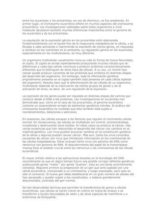 entre los eucariotas y los procariotas, en vez de disminuir, se fue ampliando. En
primer lugar, el cromosoma eucariótico difiere en muchos aspectos del cromosoma
procariótico. Las investigaciones realizadas sobre estos organismos a nivel
molecular develaron también muchas diferencias importantes entre el genoma de
los eucariotas y de los procariotas.
La regulación de la expresión génica en los procariotas está relacionada
fundamentalmente con el ajuste fino de la maquinaria metabólica de la célula, y es
llevada a cabo activando o reprimiendo la expresión de ciertos genes, en respuesta
a cambios en los nutrientes en el ambiente. La regulación génica en los eucariotas,
especialmente en los multicelulares, es muy diferente.
Un organismo multicelular usualmente inicia su vida en forma de huevo fecundado,
el cigoto. El cigoto se divide repetidamente produciendo muchas células que se
diferencian y cada tipo celular comienza a producir proteínas característicamente
diferentes que lo distinguen de otros tipos de células. A su vez, un mismo tipo
celular puede producir variantes de las proteínas que sintetiza en distintas etapas
del desarrollo del organismo. Sin embargo, toda la información genética
originalmente presente en el cigoto también está presente en cada célula diploide
del organismo. Resulta claro que la diferenciación de las células de un organismo
multicelular depende de la inactivación de ciertos grupos de genes y de la
activación de otros, es decir, de una regulación de la expresión.
La expresión de los genes puede ser regulada en distintas etapas del camino que
conduce desde el DNA a las proteínas. Las investigaciones en eucariotas han
demostrado que, como en el caso de los procariotas, el genoma eucariótico
contiene un sorprendente arreglo de elementos genéticos móviles. El análisis del
cromosoma eucariótico ha revelado que éste también está sujeto a
reordenamientos, deleciones y adiciones.
En ocasiones, las células escapan a los factores que regulan el crecimiento celular
normal. En consecuencia, las células se multiplican sin control, amontonándose,
invadiendo y destruyendo otros tejidos. En estos casos se produce el cáncer. Hay
varias evidencias que han relacionado el desarrollo del cáncer con cambios en el
material genético. Los virus pueden provocar cambios en la constitución genética
de la célula y algunos pueden causar cáncer. Más aun, todos los virus conocidos
causantes de cáncer son virus que introducen información en los cromosomas de
las células hospedadoras. Estos incluyen tanto virus con genoma de DNA como
retrovirus con genoma de RNA. El descubrimiento del papel de la transcriptasa
inversa forjó el eslabón crucial entre los retrovirus y los cromosomas de las células
eucarióticas.
El mayor anhelo relativo a las aplicaciones basadas en la tecnología del DNA
recombinante es que en algún tiempo futuro sea posible corregir defectos genéticos
sustituyendo genes "malos " por genes "buenos". Esta es una tarea enormemente
compleja. Requiere primero la preparación de un gen que será captado por una
célula eucariótica, incorporado a un cromosoma, y luego expresado, pero esto es
sólo el comienzo. El nuevo gen debe establecerse en un gran número de células del
tipo apropiado y quedar sujeto a los complicados, y todavía grandemente
desconocidos, controles del gen normal.
Se han desarrollado técnicas que permiten la transferencia de genes a células
eucarióticas. Las células se hacen crecer en cultivo en tubos de ensayo y se
transfieren a óvulos fecundados de ratón y de otras especies de mamíferos y a
embriones de Drosophila.
 