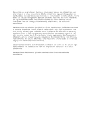 Es posible que se produzcan divisiones celulares en las que las células hijas sean
diferentes de la célula progenitora. Células inicialmente equivalentes pueden ser
conducidas a expresar selectores distintos por comunicación entre las células. Como
todas las células del organismo derivan, en última instancia, del huevo fertilizado,
en algún momento deben producirse divisiones que produzcan dos células
diferentes: una con un regulador maestro y otra sin éste; son divisiones
asimétricas.
Existen varios mecanismos que generan células o poblaciones de células diferentes
a partir de una célula. En uno de estos mecanismos, una célula puede tener una
distribución asimétrica de moléculas en su citoplasma. Por ejemplo, un extremo
puede contener el RNA mensajero correspondiente a un regulador maestro, y el
otro extremo carecer de él. Si una división celular separa estas dos fracciones de
citoplasma en dos células hijas, se produce una división asimétrica y se obtienen,
naturalmente, dos células diferentes. Este mecanismo simple recibe el nombre de
segregación de factores citoplasmáticos.
Las divisiones celulares asimétricas son aquellas en las cuales las dos células hijas
son diferentes -en su estructura o en sus propiedades biológicas- de la célula
progenitora.
Existen varios mecanismos que dan como resultado divisiones celulares
asimétricas:
 