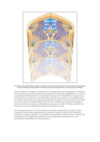 El diseño en forma de bóveda en abanico de este techo implica que necesariamente debe existir una estructura
central formada por dos triángulos enfrentados. Parecen importantes pero, ¿tiene acaso una finalidad?
Estos biólogos no niegan la existencia de la adaptación, pero desplazan el interés a
una mirada más plural, que permite considerar al organismo globalmente y recurrir
a explicaciones alternativas a la selección natural para interpretar el origen de sus
características. Conforme a los diferentes procesos que operan en las poblaciones,
es posible comprender que algunos caracteres se fijan por deriva genética, es decir
que su presencia se debe simplemente al azar. También es necesario considerar
que una parte de la variación representa un ajuste al medio sin base genética, de
modo que no se ha establecido mediante selección natural.
Se ha propuesto que en muchos casos las nuevas características pueden surgir
mediante mecanismos alternativos a la selección natural tales como la fijación
azarosa de rasgos neutrales, los procesos de alometría y heterocronía, el efecto de
la pleiotropía y el ligamiento genético, los emergentes arquitectónicos y las
variaciones ambientales sin base genética.
 