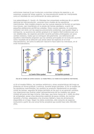 extinciones masivas § que involucran a enormes números de especies y, en
ocasiones, grupos de rango superior. La macroevolución puede ser interpretada
como el resultado de una combinación de estos patrones.
Los paleontólogos S. Gould y N. Eldredge han presentado evidencias de un patrón
adicional de macroevolución, conocido como modelo de los equilibrios
intermitentes. Este modelo propone que las nuevas especies se forman en períodos
muy breves, casi intantáneos en la escala del tiempo geológico, a partir de
pequeñas poblaciones periféricas aisladas. Estas nuevas especies, en ocasiones,
compiten con éxito con las especies previamente existentes, que pueden llegar a
extinguirse. La ausencia de cambio gradual en el registro fósil evidencia que una
vez establecidas, las especies persisten durante períodos prolongados con poco
cambio (estasis), hasta que se extinguen abruptamente. Los defensores del
equilibrio intermitente proponen que los cambios principales en la evolución ocurren
como resultado de la selección que actúa sobre las especies en el nivel
macroevolutivo, así como la selección natural lo hace sobre los individuos, en el
nivel microevolutivo.
Dos de los modelos de cambio evolutivo: a) modelo filético y b) modelo de los equilibrios intermitentes.
a) En el modelo filético, los cambios antómicos y otras características del linaje se
producen en forma gradual y continua, durante largos períodos. b) En el modelo de
los equilibrios intermitentes, los cambios se producen rápidamente en períodos
cortos de tiempo, seguidos de largos períodos en los que no se aprecian cambios.
Los organismos que ilustran estas representaciones de los modelos son peces
cíclidos africanos del lago Victoria. Este lago, que tiene menos de 1 millón de años
de antigüedad, posee unas doscientas especies de peces cíclidos, de muchos
tamaños y formas, adaptados a los diversos hábitat y tipos de alimentación
disponibles en el lago. Según los datos existentes, este conjunto de especies
evolucionó a partir de una única forma ancestral que existió hace sólo 200.000
años.
 