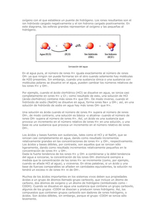 oxígeno con el que establece un puente de hidrógeno. Los iones resultantes son el
ion hidróxido cargado negativamente y el ion hidronio cargado positivamente. En
este diagrama, las esferas grandes representan al oxígeno y las pequeñas al
hidrógeno.
Ionización del agua
En el agua pura, el número de iones H+ iguala exactamente al número de iones
OH- ya que ningún ion puede formarse sin el otro cuando solamente hay moléculas
de H2O presentes. Sin embargo, cuando una sustancia iónica o una sustancia con
moléculas polares se disuelve en el agua, pueden cambiar los números relativos de
los iones H+ y OH-.
Por ejemplo, cuando el ácido clorhídrico (HCl) se disuelve en agua, se ioniza casi
completamente en iones H+ y Cl-; como resultado de esto, una solución de HCl
(ácido clorhídrico) contiene más iones H+ que OH-. De modo inverso, cuando el
hidróxido de sodio (NaOH) se disuelve en agua, forma iones Na+ y OH-; así, en una
solución de hidróxido de sodio en agua hay más iones OH- que H+.
Una solución es ácida cuando el número de iones H+ supera al número de iones
OH-, de modo contrario, una solución es básica -o alcalina- cuando el número de
iones OH- supera al número de iones H+. Así, un ácido es una sustancia que
provoca un incremento en el número relativo de iones H+ en una solución, y una
base es una sustancia que provoca un incremento en el número relativo de iones
OH-.
Los ácidos y bases fuertes son sustancias, tales como el HCl y el NaOH, que se
ionizan casi completamente en agua, dando como resultado incrementos
relativamente grandes en las concentraciones de iones H+ y OH-, respectivamente.
Los ácidos y bases débiles, por contraste, son aquellos que se ionizan sólo
ligeramente, dando como resultado incrementos relativamente pequeños en la
concentración de iones H+ u OH-.
Dada la fuerte tendencia de los iones H+ y OH- a combinarse y la débil tendencia
del agua a ionizarse, la concentración de los iones OH- disminuirá siempre a
medida que la concentración de los iones H+ se incremente (como, por ejemplo,
cuando se añade HCl al agua), y viceversa. En otras palabras, si un ácido y una
base de fuerzas comparables se añaden en cantidades equivalentes, la solución no
tendrá un exceso ni de iones H+ ni de OH-.
Muchos de los ácidos importantes en los sistemas vivos deben sus propiedades
ácidas a un grupo de átomos llamado grupo carboxilo, que incluye un átomo de
carbono, dos átomos de oxígeno y un átomo de hidrógeno (simbolizado como -
COOH). Cuando se disuelve en agua una sustancia que contiene un grupo carboxilo,
algunos de los grupos -COOH se disocian y producen iones hidrógeno. Así, los
compuestos que contienen grupos carboxilo son dadores de iones hidrógeno, o
ácidos. Son ácidos débiles, sin embargo, porque el grupo -COOH se ioniza sólo
levemente.
 