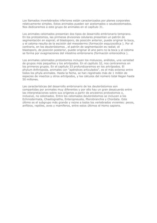 Los llamados invertebrados inferiores están caracterizados por planes corporales
relativamente simples. Estos animales pueden ser acelomados o seudocelomados.
Nos dedicaremos a este grupo de animales en el capítulo 31.
Los animales celomados presentan dos tipos de desarrollo embrionario temprano.
En los protostomos, las primeras divisiones celulares presentan un patrón de
segmentación en espiral; el blastoporo, de posición anterior, puede originar la boca,
y el celoma resulta de la escisión del mesodermo (formación esquizocélica ). Por el
contrario, en los deuteróstomos , el patrón de segmentación es radial; el
blastoporo, de posición posterior, puede originar el ano pero no la boca y el celoma
se forma por evaginaciones del intestino embrionario (formación enterocélica ).
Los animales celomados protostomos incluyen los moluscos, anélidos, una variedad
de grupos más pequeños y los artrópodos. En el capítulo 32, nos centraremos en
los primeros grupos. En el capítulo 33 profundizaremos en los artrópodos. El
phylum Arthropoda, animales con "apéndices articulados", es el más extenso entre
todos los phyla animales. Hasta la fecha, se han registrado más de 1 millón de
especies de insectos y otros artrópodos, y los cálculos del número total llegan hasta
50 millones.
Las características del desarrollo embrionario de los deuteróstomos son
compartidas por animales muy diferentes y por ello hay un gran desacuerdo entre
las interpretaciones sobre sus orígenes a partir de ancestros protostomos o,
inclusive, no celomados. Entre los celomados deuteróstomos se incluyen a los
Echinodermata, Chaetognatha, Enteropneusta, Pterobranchia y Chordata. Este
último es el subgrupo más grande y reúne a todos los vertebrados vivientes: peces,
anfibios, reptiles, aves y mamíferos, entre estos últimos el Homo sapiens.
 