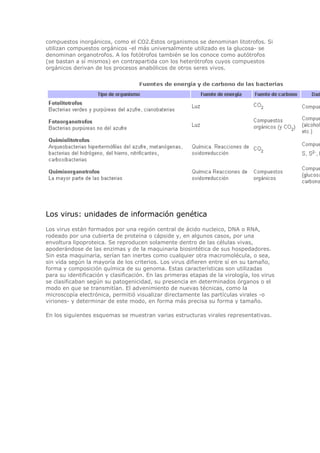 compuestos inorgánicos, como el CO2.Estos organismos se denominan litotrofos. Si
utilizan compuestos orgánicos -el más universalmente utilizado es la glucosa- se
denominan organotrofos. A los fotótrofos también se los conoce como autótrofos
(se bastan a sí mismos) en contrapartida con los heterótrofos cuyos compuestos
orgánicos derivan de los procesos anabólicos de otros seres vivos.
Los virus: unidades de información genética
Los virus están formados por una región central de ácido nucleico, DNA o RNA,
rodeado por una cubierta de proteína o cápside y, en algunos casos, por una
envoltura lipoproteica. Se reproducen solamente dentro de las células vivas,
apoderándose de las enzimas y de la maquinaria biosintética de sus hospedadores.
Sin esta maquinaria, serían tan inertes como cualquier otra macromolécula, o sea,
sin vida según la mayoría de los criterios. Los virus difieren entre sí en su tamaño,
forma y composición química de su genoma. Estas características son utilizadas
para su identificación y clasificación. En las primeras etapas de la virología, los virus
se clasificaban según su patogenicidad, su presencia en determinados órganos o el
modo en que se transmitían. El advenimiento de nuevas técnicas, como la
microscopía electrónica, permitió visualizar directamente las partículas virales -o
viriones- y determinar de este modo, en forma más precisa su forma y tamaño.
En los siguientes esquemas se muestran varias estructuras virales representativas.
 