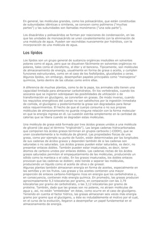 En general, las moléculas grandes, como los polisacáridos, que están constituidas
de subunidades idénticas o similares, se conocen como polímeros ("muchas
partes") y las subunidades son llamadas monómeros ("una sola parte").
Los disacáridos y polisacáridos se forman por reacciones de condensación, en las
que las unidades de monosacárido se unen covalentemente con la eliminación de
una molécula de agua. Pueden ser escindidas nuevamente por hidrólisis, con la
incorporación de una molécula de agua.
Los lípidos
Los lípidos son un grupo general de sustancia orgánicas insolubles en solventes
polares como el agua, pero que se disuelven fácilmente en solventes orgánicos no
polares, tales como el cloroformo, el éter y el benceno. Típicamente, son moléculas
de almacenamiento de energía, usualmente en forma de grasa o aceite, y cumplen
funciones estructurales, como en el caso de los fosfolípidos, glucolípidos y ceras.
Algunos lípidos, sin embargo, desempeñan papeles principales como "mensajeros"
químicos, tanto dentro de las células como entre ellas.
A diferencia de muchas plantas, como la de la papa, los animales sólo tienen una
capacidad limitada para almacenar carbohidratos. En los vertebrados, cuando los
azúcares que se ingieren sobrepasan las posibilidades de utilización o de
transformación en glucógeno, se convierten en grasas. De modo inverso, cuando
los requisitos energéticos del cuerpo no son satisfechos por la ingestión inmediata
de comida, el glucógeno y posteriormente la grasa son degradados para llenar
estos requerimientos. El hecho de que el cuerpo consuma o no sus propias
moléculas de almacenamiento no guarda ninguna relación con la forma molecular
en que la energía ingresa en él. La cuestión estriba simplemente en la cantidad de
calorías que se libera cuando se degradan estas moléculas.
Una molécula de grasa está formada por tres ácidos grasos unidos a una molécula
de glicerol (de aquí el término "triglicérido"). Las largas cadenas hidrocarbonadas
que componen los ácidos grasos terminan en grupos carboxilo (-COOH), que se
unen covalentemente a la molécula de glicerol. Las propiedades físicas de una
grasa, como por ejemplo su punto de fusión, están determinadas por las longitudes
de sus cadenas de ácidos grasos y dependen también de si las cadenas son
saturadas o no saturadas. Los ácidos grasos pueden estar saturados, es decir, no
presentar enlaces dobles. También pueden estar insaturados, es decir, tener
átomos de carbono unidos por enlaces dobles. Las cadenas rectas de los ácidos
grasos saturados permiten el empaquetamiento de las moléculas, produciendo un
sólido como la manteca o el cebo. En los grasos insaturados, los dobles enlaces
provocan que las cadenas se doblen; esto tiende a separar las moléculas,
produciendo un líquido como el aceite de oliva o de girasol.
Algunas plantas también almacenan energía en forma de aceites, especialmente en
las semillas y en los frutos. Las grasas y los aceites contienen una mayor
proporción de enlaces carbono-hidrógeno ricos en energía que los carbohidratos y,
en consecuencia, contienen más energía química. En promedio, las grasas producen
aproximadamente 9,3 kilocalorías por gramo, en comparación con las 3,79
kilocalorías por gramo de carbohidrato, o las 3,12 kilocalorías por gramo de
proteína. También, dado que las grasas son no polares, no atraen moléculas de
agua y, así, no están "embebidas" en éstas, como ocurre en el caso de glucógeno.
Teniendo en cuenta el factor hídrico, las grasas almacenan seis veces más energía
gramo por gramo que el glucógeno, y éste es indudablemente el motivo por el cual,
en el curso de la evolución, llegaron a desempeñar un papel fundamental en el
almacenamiento de energía.
 