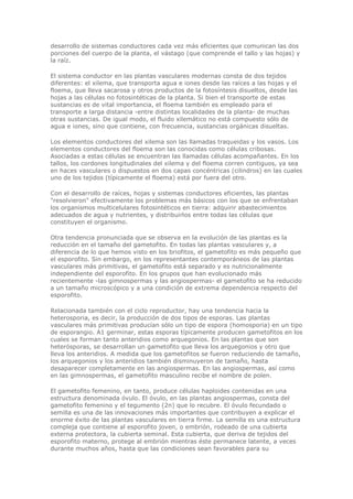 desarrollo de sistemas conductores cada vez más eficientes que comunican las dos
porciones del cuerpo de la planta, el vástago (que comprende el tallo y las hojas) y
la raíz.
El sistema conductor en las plantas vasculares modernas consta de dos tejidos
diferentes: el xilema, que transporta agua e iones desde las raíces a las hojas y el
floema, que lleva sacarosa y otros productos de la fotosíntesis disueltos, desde las
hojas a las células no fotosintéticas de la planta. Si bien el transporte de estas
sustancias es de vital importancia, el floema también es empleado para el
transporte a larga distancia -entre distintas localidades de la planta- de muchas
otras sustancias. De igual modo, el fluido xilemático no está compuesto sólo de
agua e iones, sino que contiene, con frecuencia, sustancias orgánicas disueltas.
Los elementos conductores del xilema son las llamadas traqueidas y los vasos. Los
elementos conductores del floema son las conocidas como células cribosas.
Asociadas a estas células se encuentran las llamadas células acompañantes. En los
tallos, los cordones longitudinales del xilema y del floema corren contiguos, ya sea
en haces vasculares o dispuestos en dos capas concéntricas (cilindros) en las cuales
uno de los tejidos (típicamente el floema) está por fuera del otro.
Con el desarrollo de raíces, hojas y sistemas conductores eficientes, las plantas
"resolvieron" efectivamente los problemas más básicos con los que se enfrentaban
los organismos multicelulares fotosintéticos en tierra: adquirir abastecimientos
adecuados de agua y nutrientes, y distribuirlos entre todas las células que
constituyen el organismo.
Otra tendencia pronunciada que se observa en la evolución de las plantas es la
reducción en el tamaño del gametofito. En todas las plantas vasculares y, a
diferencia de lo que hemos visto en los briofitos, el gametofito es más pequeño que
el esporofito. Sin embargo, en los representantes contemporáneos de las plantas
vasculares más primitivas, el gametofito está separado y es nutricionalmente
independiente del esporofito. En los grupos que han evolucionado más
recientemente -las gimnospermas y las angiospermas- el gametofito se ha reducido
a un tamaño microscópico y a una condición de extrema dependencia respecto del
esporofito.
Relacionada también con el ciclo reproductor, hay una tendencia hacia la
heterosporia, es decir, la producción de dos tipos de esporas. Las plantas
vasculares más primitivas producían sólo un tipo de espora (homosporia) en un tipo
de esporangio. A1 germinar, estas esporas típicamente producen gametofitos en los
cuales se forman tanto anteridios como arquegonios. En las plantas que son
heterósporas, se desarrollan un gametofito que lleva los arquegonios y otro que
lleva los anteridios. A medida que los gametofitos se fueron reduciendo de tamaño,
los arquegonios y los anteridios también disminuyeron de tamaño, hasta
desaparecer completamente en las angiospermas. En las angiospermas, así como
en las gimnospermas, el gametofito masculino recibe el nombre de polen.
El gametofito femenino, en tanto, produce células haploides contenidas en una
estructura denominada óvulo. El óvulo, en las plantas angiospermas, consta del
gametofito femenino y el tegumento (2n) que lo recubre. El óvulo fecundado o
semilla es una de las innovaciones más importantes que contribuyen a explicar el
enorme éxito de las plantas vasculares en tierra firme. La semilla es una estructura
compleja que contiene al esporofito joven, o embrión, rodeado de una cubierta
externa protectora, la cubierta seminal. Esta cubierta, que deriva de tejidos del
esporofito materno, protege al embrión mientras éste permanece latente, a veces
durante muchos años, hasta que las condiciones sean favorables para su
 