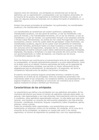 especies como de individuos. Los artrópodos se caracterizan por el tipo de
apéndices, por su segmentación y exoesqueleto y por sus órganos sensoriales. En
la mayoría de los grupos, los segmentos se combinan formando una cabeza, un
tórax (en algunas ocasiones fusionado con la cabeza formando el cefalotórax) y un
abdomen.
Existen tres grupos principales de artrópodos: los quelicerados, los mandibulados
acuáticos y los mandibulados terrestres.
Los mandibulados se caracterizan por poseer quelíceros y pedipalpos; los
mandibulados acuáticos, con dos pares de antenas, un par de mandíbulas y dos
pares de maxilas, y los mandibulados terrestres, con un par de antenas, un par de
mandíbulas y un par de maxilas. Los quelicerados incluyen a los cangrejos cacerola
o límulos (clase Merostomata); las arañas de mar (clase Pycnogonida) y las arañas,
escorpiones y ácaros -entre los cuales están las garrapatas- (clase Arachnida). Los
mandibulados acuáticos, algunos de los cuales viven actualmente en ambientes
terrestres húmedos, pertenecen todos a la clase Crustacea e incluyen a animales
tan comunes como los bogavantes, cangrejos de río, camarones y percebes. Los
mandibulados terrestres incluyen cuatro clases relativamente pequeñas (Chilopoda,
Diplopoda, Pauropoda y Simphyla) y la clase más grande del reino animal, Insecta,
con aproximadamente un millón de especies. Los insectos son los únicos
invertebrados capaces de volar.
Entre los factores que contribuyeron al extraordinario éxito de los artrópodos están
su exoesqueleto, su tamaño generalmente pequeño y su gran especialización, tanto
en la dieta como en el hábitat. Factores adicionales del éxito son la capacidad de
volar y la metamorfosis completa, que permite un mayor refinamiento de las
adaptaciones para la alimentación, la reproducción y la dispersión, así como la
competencia reducida entre los adultos y las formas inmaduras.
El sistema nervioso presenta órganos sensoriales diversos y también ha sido
importante en el éxito de los artrópodos. Entre los receptores sensoriales más
importantes están el ojo compuesto, los receptores táctiles, los propioceptores y los
órganos timpánicos. Los artrópodos se comunican con miembros de la misma
especie mediante el sonido y también por feromonas.
Características de los artrópodos
La característica que define a los artrópodos son sus apéndices articulados. En los
miembros del phylum que tienen el número de apéndices reducido éstos están, en
general, más especializados y son más eficientes. Particularmente entre los insectos
y crustáceos, estos apéndices especializados incluyen, no sólo patas que usan para
caminar, sino también un conjunto de instrumentos adaptados a las más diversas
funciones: mandíbulas, branquias, lenguas, ovipositores, tubos chupadores, garras,
antenas, remos y pinzas.
Todos los artrópodos están segmentados, una característica que sugiere
fuertemente un antecesor común con los anélidos. Sin embargo, en el curso de la
evolución de los artrópodos, se observa un cuerpo más corto y con menos
segmentos; el número de segmentos ha quedado fijo y son muy especializados.
 