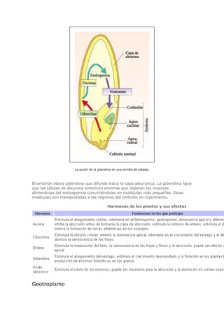Biologia-Helena-Curtis.pdf