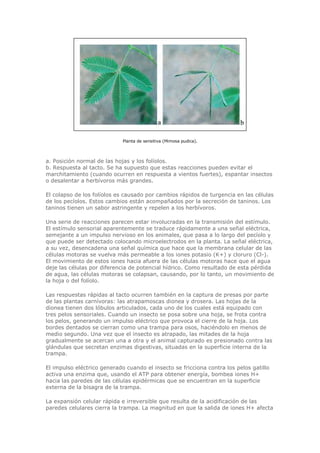 Biologia-Helena-Curtis.pdf
