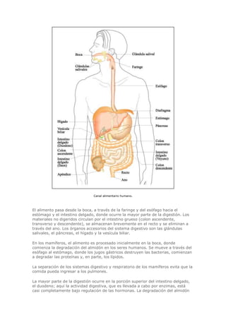 Biologia-Helena-Curtis.pdf