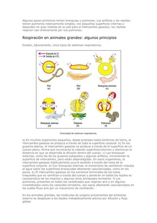 Biologia-Helena-Curtis.pdf