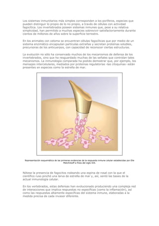 Biologia-Helena-Curtis.pdf