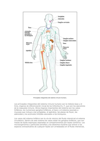 Biologia-Helena-Curtis.pdf