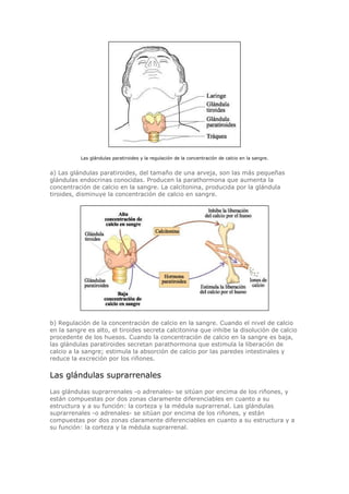 Biologia-Helena-Curtis.pdf