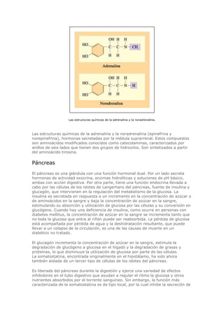 Biologia-Helena-Curtis.pdf