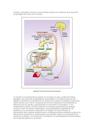 Biologia-Helena-Curtis.pdf