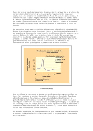 Biologia-Helena-Curtis.pdf
