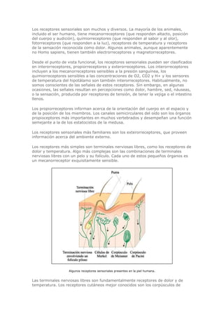 Biologia-Helena-Curtis.pdf