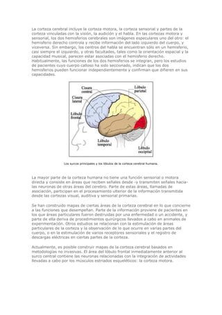 Biologia-Helena-Curtis.pdf