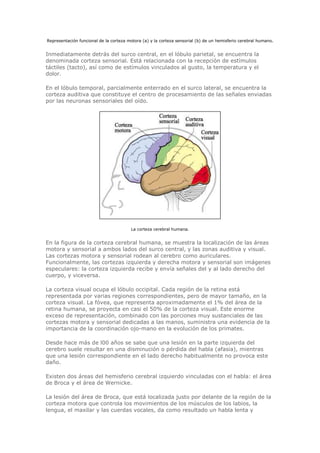 Biologia-Helena-Curtis.pdf