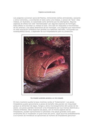 Biologia-Helena-Curtis.pdf