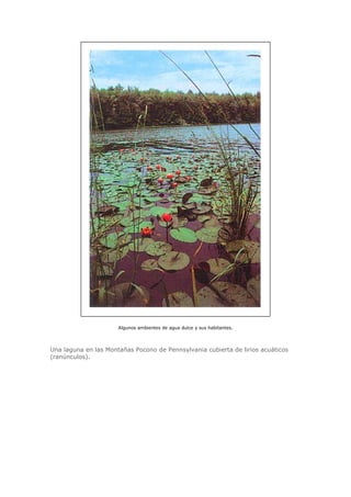 Biologia-Helena-Curtis.pdf