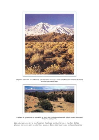 Biologia-Helena-Curtis.pdf