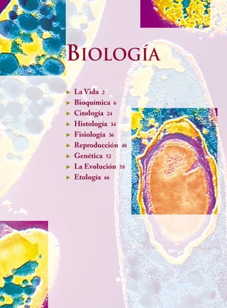 Biología
 La Vida 2
 Bioquímica 6
 Citología 24
 Histología 34
 Fisiología 36
 Reproducción 48
 Genética 52
 La Evolución 58
 Etología 66
SALIR
MENÚ AUTOEVALUACIONES
 