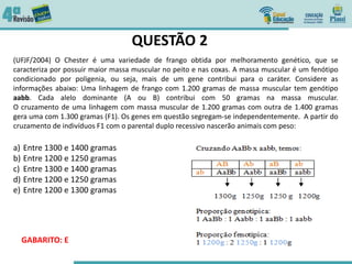 QUESTÃO 2
(UFJF/2004) O Chester é uma variedade de frango obtida por melhoramento genético, que se
caracteriza por possuir maior massa muscular no peito e nas coxas. A massa muscular é um fenótipo
condicionado por poligenia, ou seja, mais de um gene contribui para o caráter. Considere as
informações abaixo: Uma linhagem de frango com 1.200 gramas de massa muscular tem genótipo
aabb. Cada alelo dominante (A ou B) contribui com 50 gramas na massa muscular.
O cruzamento de uma linhagem com massa muscular de 1.200 gramas com outra de 1.400 gramas
gera uma com 1.300 gramas (F1). Os genes em questão segregam-se independentemente. A partir do
cruzamento de indivíduos F1 com o parental duplo recessivo nascerão animais com peso:
a) Entre 1300 e 1400 gramas
b) Entre 1200 e 1250 gramas
c) Entre 1300 e 1400 gramas
d) Entre 1200 e 1250 gramas
e) Entre 1200 e 1300 gramas
GABARITO: E
 
