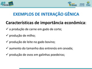 EXEMPLOS DE INTERAÇÃO GÊNICA
Características de importância econômica:
 a produção de carne em gado de corte;
 produção de milho;
 produção de leite no gado bovino;
 aumento do tamanho dos entrenós em cevada;
 produção de ovos em galinhas poedeiras;
 