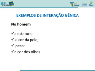 EXEMPLOS DE INTERAÇÃO GÊNICA
No homem
a estatura;
 a cor da pele;
 peso;
a cor dos olhos...
 
