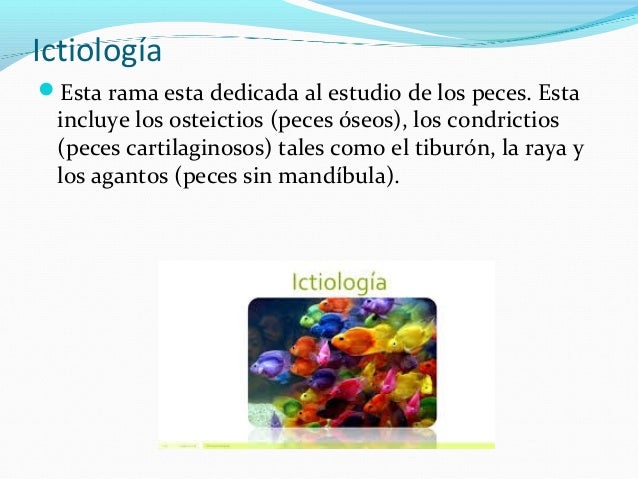 Biologia marina