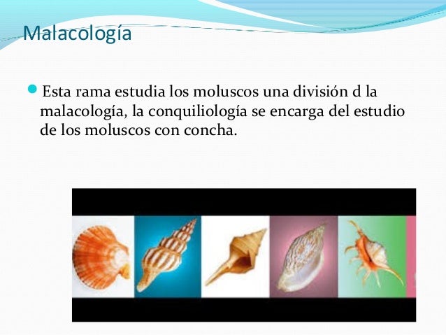 Biologia marina