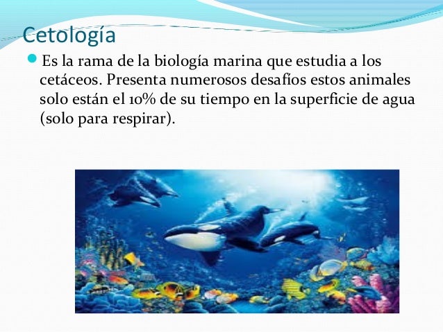 Biologia marina