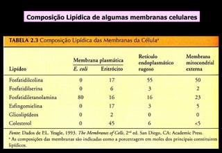 Composição Lipídica de algumas membranas celulares
 