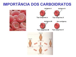 IMPORTÂNCIA DOS CARBOIDRATOS
 