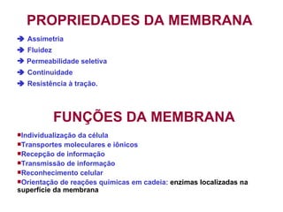 PROPRIEDADES DA MEMBRANA
 Assimetria
 Fluidez
 Permeabilidade seletiva
 Continuidade
 Resistência à tração.




            FUNÇÕES DA MEMBRANA
Individualizaçãoda célula
Transportes moleculares e iônicos
Recepção de informação
Transmissão de informação
Reconhecimento celular
Orientação de reações químicas em cadeia: enzimas localizadas na
superfície da membrana
 