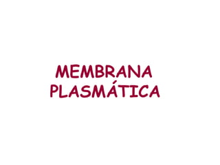 MEMBRANA
PLASMÁTICA
 