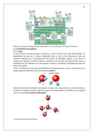14
Elementos químicos biologicamente importantes e sua localização na Tabela Periódica.
2. As Substâncias Inorgânicas
2.1. A Água
A vida na Terra começou na água e, ainda hoje, a ela se associa. Só há vida onde há água. As
propriedades da água que a tornam fundamental para os seres vivos relacionam-se com sua
estrutura molecular que é constituída por dois átomos de hidrogênio ligados a um átomo de
oxigênio por ligações covalentes. Embora a molécula como um todo seja eletricamente neutra, a
distribuição do par eletrônico em cada ligação covalente é assimétrica, deslocada para perto do
átomo de oxigênio.
Assim, a molécula tem um lado com predomínio de cargas positivas e outro com predomínio de
cargas negativas. Moléculas assim são chamadas polares.
Quando os átomos de hidrogênio da molécula de água (com carga positiva) se colocam próximos
ao átomo de oxigênio de outra molécula de água (com carga negativa), estabelece-se uma ligação
entre eles, denominada ponte de hidrogênio.
A estrutura da molécula de água
 