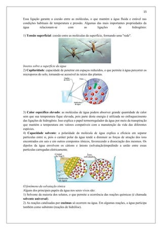 15
Essa ligação garante a coesão entre as moléculas, o que mantém a água fluida e estável nas
condições habituais de temperatura e pressão. Algumas das mais importantes propriedades da
água relacionam-se com as ligações de hidrogênio:
1) Tensão superficial: coesão entre as moléculas da superfície, formando uma "rede".
Insetos sobre a superfície da água
2) Capilaridade: capacidade de penetrar em espaços reduzidos, o que permite à água percorrer os
microporos do solo, tornando-se acessível às raízes das plantas.
3) Calor específico elevado: as moléculas de água podem absorver grande quantidade de calor
sem que sua temperatura fique elevada, pois parte desta energia é utilizada no enfraquecimento
das ligações de hidrogênio. Isso explica o papel termorregulador da água por meio da transpiração
que mantém a temperatura em valores compatíveis com a manutenção da vida das diferentes
espécies.
4) Capacidade solvente: a polaridade da molécula de água explica a eficácia em separar
partículas entre si, pois o caráter polar da água tende a diminuir as forças de atração dos íons
encontrados em sais e em outros compostos iônicos, favorecendo a dissociação dos mesmos. Os
dipolos da água envolvem os cátions e ânions (solvatação)impedindo a união entre essas
partículas carregadas eletricamente.
O fenômeno da solvatação iônica
Alguns dos principais papéis da água nos seres vivos são:
1) Solvente da maioria dos solutos, o que permite a ocorrência das reações químicas (é chamada
solvente universal).
2) As reações catalisadas por enzimas só ocorrem na água. Em algumas reações, a água participa
também como substrato (reações de hidrólise).
 