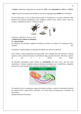 17
• Fosfato: importante componente da estrutura do ATP e dos nucleotídeos do DNA e do RNA.
• Iodo: faz parte da estrutura dos hormônios (tiroxinas) segregadas pela tiróide dos vertebrados.
De um modo geral, os sais na forma iônica atuam no metabolismo e na forma molecular estão
presentes em estruturas esqueléticas como carapaças, conchas, ossos, chifres, cascos, onde são
comuns o carbonato de cálcio e o fosfato de cálcio.
Estruturas esqueléticas dos seres vivos
3. Hidratos de Carbono ou Glicídicos
3.1. Apresentação
Os glicídicos são moléculas orgânicas formadas por átomos de carbono (C), hidrogênio (H) e
oxigênio (O).
Os glicídicos também podem ser chamados de hidratos de carbono ou açúcares.
Nem sempre o açúcar (glicídicos) está relacionado com o paladar doce dos alimentos. Existem
açúcares, como o amido da maizena e da farinha de trigo, que não são doces. São doces a glicose
do mel e a frutose das frutas.
Os glicídicos apresentam muitas funções no metabolismo dos seres vivos; uma das mais
importantes é a função energética dessas moléculas relacionadas com o metabolismo energético
que envolve o funcionamento dos organelas mitocôndrias e cloroplastos.
Os autotróficos são os organismos capazes de produzir açúcares, a partir da utilização de dióxido
de carbono (CO2) e água (H2O), utilizando a luz como fonte de energia para o fenômeno da
fotossíntese.
Equação Geral da Fotossíntese.
 