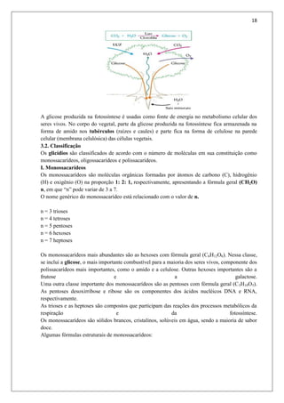 18
A glicose produzida na fotossíntese é usadas como fonte de energia no metabolismo celular dos
seres vivos. No corpo do vegetal, parte da glicose produzida na fotossíntese fica armazenada na
forma de amido nos tubérculos (raízes e caules) e parte fica na forma de celulose na parede
celular (membrana celulósica) das células vegetais.
3.2. Classificação
Os glicídios são classificados de acordo com o número de moléculas em sua constituição como
monossacarídeos, oligossacarídeos e polissacarídeos.
I. Monossacarídeos
Os monossacarídeos são moléculas orgânicas formadas por átomos de carbono (C), hidrogênio
(H) e oxigênio (O) na proporção 1: 2: 1, respectivamente, apresentando a fórmula geral (CH2O)
n, em que “n” pode variar de 3 a 7.
O nome genérico do monossacarídeo está relacionado com o valor de n.
n = 3 trioses
n = 4 tetroses
n = 5 pentoses
n = 6 hexoses
n = 7 heptoses
Os monossacarídeos mais abundantes são as hexoses com fórmula geral (C6H12O6). Nessa classe,
se inclui a glicose, o mais importante combustível para a maioria dos seres vivos, componente dos
polissacarídeos mais importantes, como o amido e a celulose. Outras hexoses importantes são a
frutose e a galactose.
Uma outra classe importante dos monossacarídeos são as pentoses com fórmula geral (C5H10O5).
As pentoses desoxirribose e ribose são os componentes dos ácidos nucléicos DNA e RNA,
respectivamente.
As trioses e as heptoses são compostos que participam das reações dos processos metabólicos da
respiração e da fotossíntese.
Os monossacarídeos são sólidos brancos, cristalinos, solúveis em água, sendo a maioria de sabor
doce.
Algumas fórmulas estruturais de monossacarídeos:
 