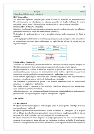 20
1. Reação de síntese
2. Reação de hidrólise (ação enzimática)
III. Polissacarídeos
São moléculas orgânicas formadas pela união de mais 10 moléculas de monossacarídeos.
Os polissacarídeos são abundantes na natureza, podendo ter função biológica de reserva
energética, como o amido e o glicogênio ou função estrutural, como a celulose e a quitina.
Polissacarídeos de Reserva Energética
O amido é o polissacarídeo de reserva energética dos vegetais, sendo armazenado nas células do
parênquima amiláceo de caules (batatinha) e raízes (mandioca).
O glicogênio é o polissacarídeo de reserva energética animal, sendo armazenado no fígado e
músculos.
Amido e glicogênio são formados por milhares de moléculas de glicose e para serem aproveitados
no metabolismo energético são transformados em moléculas de glicose, de acordo com os
esquemas a seguir.
Polissacarídeos Estruturais
A celulose é o polissacarídeo presente na membrana celulósica das células vegetais (imagine sua
abundância na natureza). Está relacionada com a estrutura e forma das células vegetais.
O aproveitamento da celulose na forma de moléculas de glicose só é possível na presença da
enzima celulase, que é produzida por microrganismos como bactérias e protozoários, que vivem
em simbiose no sistema digestivo de organismos como ruminantes, moluscos, etc.
No ser humano, a presença de celulose na dieta (alimentação) garante o bom funcionamento do
intestino, a retenção de água ao bolo fecal, facilitando sua eliminação.
Nos artrópodes, o polissacarídeo quitina é um material impermeabilizante do exoesqueleto,
garantindo boa adaptação à vida terrestre.
Nos tecidos animais, a compactação entre as células é facilitada pela presença do polissacarídeo
ácido hialurônico (cimento intercelular).
A heparina também é um importante polissacarídeo que atua na circulação como anticoagulante,
principalmente em regiões de grande irrigação como pulmões e fígado.
4. Os lipídios
4.1. Apresentação
Os lipídios são moléculas orgânicas formadas pela união de ácidos gordos e um tipo de álcool,
que normalmente é o glicerol.
Os lipídios apresentam em sua constituição átomos de carbono (C), hidrogênio (H) e oxigênio
(O), e diferem dos glicídios por apresentarem menos átomos de oxigênio, podendo ter na sua
estrutura, além do ácido gordos e glicerol, átomos de fósforo, colesterol, etc.
Os lipídios aparecem com muita frequência na composição química dos seres vivos em diferentes
partes do corpo, como no tecido adiposo, nas membranas celulares, na bainha de mielina dos
neurônios, como precursores de vitaminas e hormônios, ceras impermeabilizantes nas superfícies
 