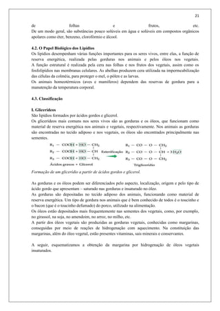 21
de folhas e frutos, etc.
De um modo geral, são substâncias pouco solúveis em água e solúveis em compostos orgânicos
apolares como éter, benzeno, clorofórmio e álcool.
4.2. O Papel Biológico dos Lipídios
Os lipídios desempenham várias funções importantes para os seres vivos, entre elas, a função de
reserva energética, realizada pelas gorduras nos animais e pelos óleos nos vegetais.
A função estrutural é realizada pela cera nas folhas e nos frutos dos vegetais, assim como os
fosfolipídios nas membranas celulares. As abelhas produzem cera utilizada na impermeabilização
das células da colméia, para proteger o mel, o pólen e as larvas.
Os animais homeotérmicos (aves e mamíferos) dependem das reservas de gordura para a
manutenção da temperatura corporal.
4.3. Classificação
I. Glicerídeos
São lipídios formados por ácidos gordos e glicerol.
Os glicerídeos mais comuns nos seres vivos são as gorduras e os óleos, que funcionam como
material de reserva energética nos animais e vegetais, respectivamente. Nos animais as gorduras
são encontradas no tecido adiposo e nos vegetais, os óleos são encontrados principalmente nas
sementes.
Formação de um glicerídio a partir de ácidos gordos e glicerol.
As gorduras e os óleos podem ser diferenciados pelo aspecto, localização, origem e pelo tipo de
ácido gordo que apresentam – saturado nas gorduras e insaturado no óleo.
As gorduras são depositadas no tecido adiposo dos animais, funcionando como material de
reserva energética. Um tipo de gordura nos animais que é bem conhecido de todos é o toucinho e
o bacon (que é o toucinho defumado) do porco, utilizado na alimentação.
Os óleos estão depositados mais frequentemente nas sementes dos vegetais, como, por exemplo,
no girassol, na soja, no amendoim, no arroz, no milho, etc.
A partir dos óleos vegetais são produzidas as gorduras vegetais, conhecidas como margarinas,
conseguidas por meio de reações de hidrogenação com aquecimento. Na constituição das
margarinas, além do óleo vegetal, estão presentes vitaminas, sais minerais e conservantes.
A seguir, esquematizamos a obtenção da margarina por hidrogenação de óleos vegetais
insaturados.
 