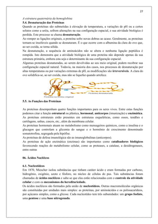 27
A estrutura quaternária da hemoglobina
5.4. Desnaturação das Proteínas
Quando as proteínas são submetidas à elevação de temperatura, a variações de pH ou a certos
solutos como a uréia, sofrem alterações na sua configuração espacial, e sua atividade biológica é
perdida. Este processo se chama desnaturação.
Ao romper as ligações originais, a proteína sofre novas dobras ao acaso. Geralmente, as proteínas
tornam-se insolúveis quando se desnaturam. É o que ocorre com a albumina da clara do ovo que,
ao ser cozida, se torna sólida.
Na desnaturação, a sequência de aminoácidos não se altera e nenhuma ligação peptídica é
rompida. Isto demonstra que a atividade biológica de uma proteína não depende apenas da sua
estrutura primária, embora esta seja o determinante da sua configuração espacial.
Algumas proteínas desnaturadas, ao serem devolvidas ao seu meio original, podem recobrar sua
configuração espacial natural. Todavia, na maioria dos casos, nos processos de desnaturação por
altas temperaturas ou por variações extremas de pH, as modificações são irreversíveis. A clara do
ovo solidifica-se, ao ser cozida, mas não se liquefaz quando arrefece.
5.5. As Funções das Proteínas
As proteínas desempenham quatro funções importantes para os seres vivos. Entre estas funções
podemos citar a função estrutural ou plástica, hormonal, anticorpos (imunização) e enzimática.
As proteínas estruturais estão presentes em estruturas esqueléticas, como ossos, tendões e
cartilagens, unhas, cascos, etc., além da membrana celular.
As proteínas hormonais atuam no metabolismo como mensageiros químicos, como a insulina e o
glucagon que controlam a glicemia do sangue e o hormônio de crescimento denominado
somatotrofina, segregada pela hipófise.
As proteínas de defesa imunológica são as imunoglobulinas (anticorpos).
As proteínas de ação enzimática (enzimas) são importantes como catalisadores biológicos
favorecendo reações do metabolismo celular, como as proteases, a catalase, a desidrogenases,
entre outras
06. Ácidos Nucléicos
6.1. Nucleotídeos
Em 1870, Miescher isolou substâncias que tinham caráter ácido e eram formadas por carbono,
hidrogênio, oxigênio, azoto e fósforo, no núcleo de células do pus. Tais substâncias foram
chamadas de ácidos nucléicos e sabe-se que elas estão relacionadas com o controle da atividade
celular e com os mecanismos da hereditariedade.
Os ácidos nucléicos são formados pela união de nucleotídeos. Outras macromoléculas orgânicas
são constituídas por unidades mais simples: as proteínas, por aminoácidos e os polissacarídeos,
por açúcares simples, como a glicose. Cada nucleotídeo tem três subunidades: um grupo fosfato,
uma pentose e uma base nitrogenada.
 