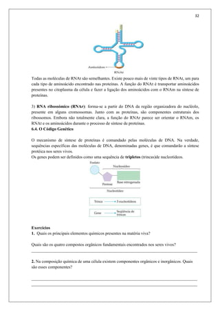 32
Todas as moléculas de RNAt são semelhantes. Existe pouco mais de vinte tipos de RNAt, um para
cada tipo de aminoácido encontrado nas proteínas. A função do RNAt é transportar aminoácidos
presentes no citoplasma da célula e fazer a ligação dos aminoácidos com o RNAm na síntese de
proteínas.
3) RNA ribossómico (RNAr): forma-se a partir do DNA da região organizadora do nucléolo,
presente em alguns cromossomas. Junto com as proteínas, são componentes estruturais dos
ribossomos. Embora não totalmente clara, a função do RNAr parece ser orientar o RNAm, os
RNAt e os aminoácidos durante o processo de síntese de proteínas.
6.4. O Código Genético
O mecanismo de síntese de proteínas é comandado pelas moléculas de DNA. Na verdade,
sequências específicas das moléculas de DNA, denominadas genes, é que comandarão a síntese
protéica nos seres vivos.
Os genes podem ser definidos como uma sequência de tripletos (trincas)de nucleotídeos.
Exercícios
1. Quais os principais elementos químicos presentes na matéria viva?
Quais são os quatro compostos orgânicos fundamentais encontrados nos seres vivos?
______________________________________________________________________________
2. Na composição química de uma célula existem componentes orgânicos e inorgânicos. Quais
são esses componentes?
______________________________________________________________________________
______________________________________________________________________________
 