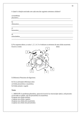 42
1. Qual é a função associada com cada uma das seguintes estruturas celulares?
a) membrana
plasmática___________________________________________________________________
______________________________________________________________________________
b)
ribossomos_____________________________________________________________________
______________________________________________________________________________
c)
lisossomos______________________________________________________________________
______________________________________________________________________________
d)
mitocôndrias____________________________________________________________________
______________________________________________________________________________
2. No esquema abaixo, as setas 1, 2, 3, 4, 5 e 6 indicam as estruturas de uma célula eucarionte.
Escreva o nome delas:
3. Diferencie Pinocitose de fagocitose.
4. Cite as principais diferenças entre:
a) Célula procariótica e eucariótica.
b) Célula animal e vegetal.
Testes
1. (MOJI-SP) A membrana plasmática, apesar de invisível ao microscópio óptico, está presente:
a) em todas as células, seja ela procariótica ou eucariótica.
b) apenas nas células animais.
c) apenas nas células vegetais.
d) apenas nas células dos eucariontes.
e) apenas nas células dos procariontes.
 