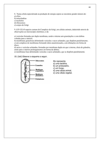 44
8. Numa célula especializada na produção de energia espera-se encontrar grande número de:
a) cílios
b) mitocôndrias
c) nucléolos
d) ribossomos
e) corpos de Golgi
9. (UF-CE) O aspecto comum do Complexo de Golgi, em células animais, deduzindo através de
observações ao microscópio eletrônico, é de:
a) vesículas formadas por dupla membrana, sendo a interna sem granulações e com dobras
voltadas para o interior;
b) membranas granulosas delimitando vesículas e sacos achatados, que dispõem paralelamente;
c) um complexo de membranas formando tubos anastomosados, com dilatações em forma de
disco;
d) sacos e vesículas achatadas, formadas por membrana dupla em que a interna, cheia de grânulos,
emite para o interior prolongamentos em forma de dobras;
e) membranas lisas delimitando vesículas e sacos achatados, que se dispõem paralelamente.
10. (Uel) Observe o esquema a seguir.
Ele representa
a) uma bactéria.
b) um protozoário.
c) um fungo.
d) uma célula animal.
e) uma célula vegetal.
 