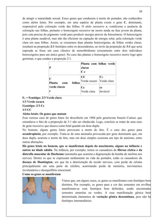 16
de atingir a maturidade sexual. Esses genes que conduzem à morte do portador, são conhecidos
como alelos letais. Por exemplo, em uma espécie de planta existe o gene C, dominante,
responsável pela coloração verde das folhas. O alelo recessivo c, condiciona a ausência de
coloração nas folhas, portanto o homozigoto recessivo cc morre ainda na fase jovem da planta,
pois esta precisa do pigmento verde para produzir energia através da fotossíntese. O heterozigoto
é uma planta saudável, mas não tão eficiente na captação de energia solar, pela coloração verde
clara em suas folhas. Assim, se cruzarmos duas plantas heterozigotas, de folhas verdes claras,
resultará na proporção 2:1 fenótipos entre os descendentes, ao invés da proporção de 3:1 que seria
esperada se fosse um caso clássico de monoibridismo (cruzamento entre dois indivíduos
heterozigotos para um único gene). No caso das plantas o homozigoto recessivo morre logo após
germinar, o que conduz a proporção 2:1.
P
Planta com folhas verde
claras
C c
C
Planta com folhas
verde claras
c
CC
Verde escuro
Cc
Verde clara
Cc
Verde clara
cc
Inviável
F1 = Fenótipo: 2/3 Verde clara
1/3 Verde escura
Genótipo: 2/3 Cc
1/3 CC
Alelos letais: Os genes que matam
Esse curioso caso de genes letais foi descoberto em 1904 pelo geneticista francês Cuénot, que
estranhava o fato de a proporção de 3:1 não ser obedecida. Logo, concluiu se tratar de uma caso
de gene recessivo que atuava como letal quando em dose dupla.
No homem, alguns genes letais provocam a morte do feto. É o caso dos genes para
acondroplasia, por exemplo. Trata-se de uma anomalia provocada por gene dominante que, em
dose dupla, acarreta a morte do feto, mas em dose simples ocasiona um tipo de nanismo, entre
outras alterações.
Há genes letais no homem, que se manifestam depois do nascimento, alguns na infância e
outros na idade adulta. Na infância, por exemplo, temos os causadores da fibrose cística e da
distrofia muscular de Duchenne (anomalia que acarreta a degeneração da bainha de mielina nos
nervos). Dentre os que se expressam tardiamente na vida do portador, estão os causadores da
doença de Huntington, em que há a deterioração do tecido nervoso, com perde de células
principalmente em uma parte do cérebro, acarretando perda de memória, movimentos
involuntários e desequilíbrio emocional.
Como os genes se manifestam
Vimos que, em alguns casos, os genes se manifestam com fenótipos bem
distintos. Por exemplo, os genes para a cor das sementes em ervilhas
manifestam-se com fenótipos bem definidos, sendo encontradas
sementes amarelas ou verdes. A essa manifestação gênica bem
determinada chamamos de variação gênica descontínua, pois não há
fenótipos intermediários.
 