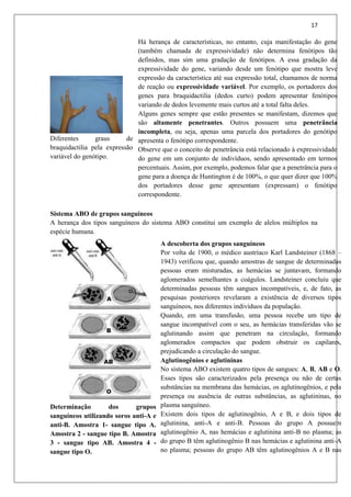 17
Diferentes graus de
braquidactilia pela expressão
variável do genótipo.
Há herança de características, no entanto, cuja manifestação do gene
(também chamada de expressividade) não determina fenótipos tão
definidos, mas sim uma gradação de fenótipos. A essa gradação da
expressividade do gene, variando desde um fenótipo que mostra leve
expressão da característica até sua expressão total, chamamos de norma
de reação ou expressividade variável. Por exemplo, os portadores dos
genes para braquidactilia (dedos curto) podem apresentar fenótipos
variando de dedos levemente mais curtos até a total falta deles.
Alguns genes sempre que estão presentes se manifestam, dizemos que
são altamente penetrantes. Outros possuem uma penetrância
incompleta, ou seja, apenas uma parcela dos portadores do genótipo
apresenta o fenótipo correspondente.
Observe que o conceito de penetrância está relacionado à expressividade
do gene em um conjunto de indivíduos, sendo apresentado em termos
percentuais. Assim, por exemplo, podemos falar que a penetrância para o
gene para a doença de Huntington é de 100%, o que quer dizer que 100%
dos portadores desse gene apresentam (expressam) o fenótipo
correspondente.
Sistema ABO de grupos sanguíneos
A herança dos tipos sanguíneos do sistema ABO constitui um exemplo de alelos múltiplos na
espécie humana.
Determinação dos grupos
sanguíneos utilizando soros anti-A e
anti-B. Amostra 1- sangue tipo A.
Amostra 2 - sangue tipo B. Amostra
3 - sangue tipo AB. Amostra 4 -
sangue tipo O.
A descoberta dos grupos sanguíneos
Por volta de 1900, o médico austríaco Karl Landsteiner (1868 –
1943) verificou que, quando amostras de sangue de determinadas
pessoas eram misturadas, as hemácias se juntavam, formando
aglomerados semelhantes a coágulos. Landsteiner concluiu que
determinadas pessoas têm sangues incompatíveis, e, de fato, as
pesquisas posteriores revelaram a existência de diversos tipos
sanguíneos, nos diferentes indivíduos da população.
Quando, em uma transfusão, uma pessoa recebe um tipo de
sangue incompatível com o seu, as hemácias transferidas vão se
aglutinando assim que penetram na circulação, formando
aglomerados compactos que podem obstruir os capilares,
prejudicando a circulação do sangue.
Aglutinogênios e aglutininas
No sistema ABO existem quatro tipos de sangues: A, B, AB e O.
Esses tipos são caracterizados pela presença ou não de certas
substâncias na membrana das hemácias, os aglutinogênios, e pela
presença ou ausência de outras substâncias, as aglutininas, no
plasma sanguíneo.
Existem dois tipos de aglutinogênio, A e B, e dois tipos de
aglutinina, anti-A e anti-B. Pessoas do grupo A possuem
aglutinogênio A, nas hemácias e aglutinina anti-B no plasma; as
do grupo B têm aglutinogênio B nas hemácias e aglutinina anti-A
no plasma; pessoas do grupo AB têm aglutinogênios A e B nas
 